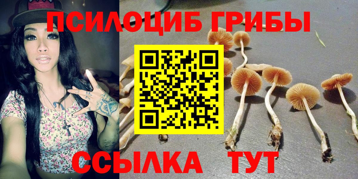 Калининград  продажа наркотиков  Вход с VPN  Псилоцибиновые грибы GOLDEN TEACHER 