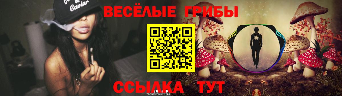 Галлюциногенные грибы прущие грибы Калининград